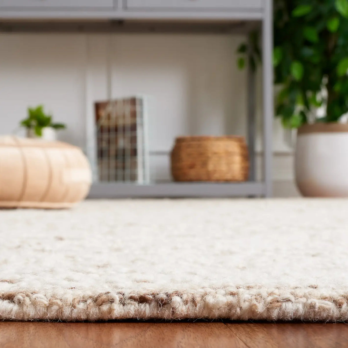 Safavieh Ebony 4'-0" x 6'-0" Rug in Brown / Ivory