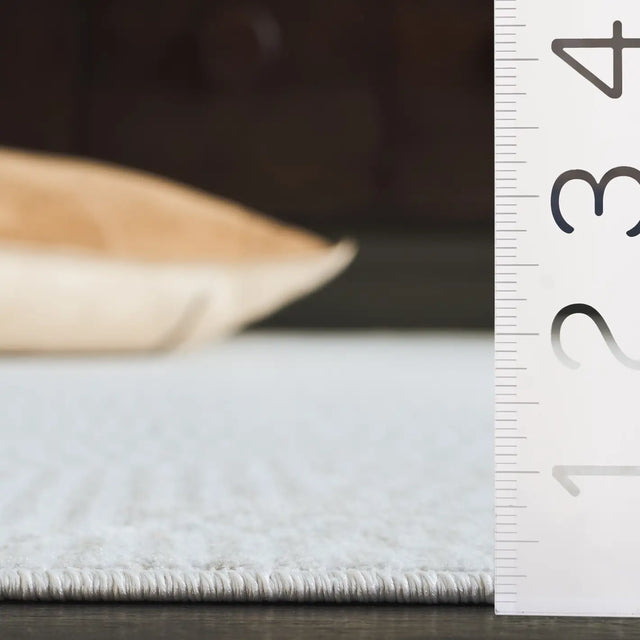 Safavieh Bayside 4'-0" x 6'-0" Rug in Ivory / Light Grey