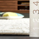 Safavieh Ebony 4'-0" x 6'-0" Rug in Light Grey / Ivory