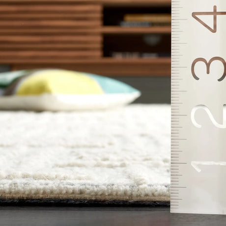 Safavieh Ebony 4'-0" x 6'-0" Rug in Light Grey / Ivory