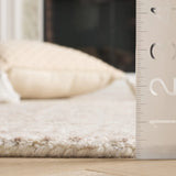 Safavieh Ebony 4'-0" x 6'-0" Rug in Ivory / Brown