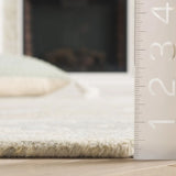 Safavieh Ebony 4'-0" x 6'-0" Rug in Light Grey / Ivory