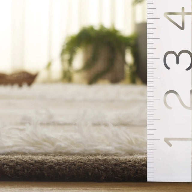 Safavieh Kenya 4'-0" x 6'-0" Rug in Beige / Ivory