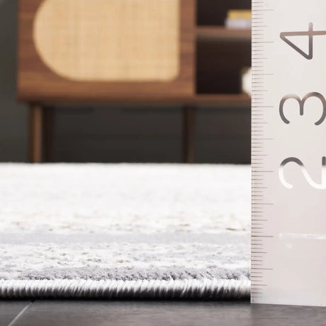 Safavieh Alenia 100 4'-0" x 6'-0" Rug in Ivory / Grey