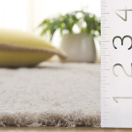 Safavieh Montauk 4'-0" x 6'-0" Rug in Ivory / Beige
