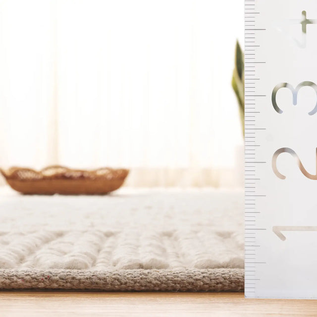 Safavieh Natura 4'-0" x 6'-0" Rug in Ivory