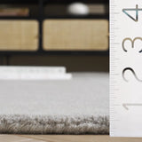 Safavieh Fifth Avenue 4'-0" x 6'-0" Rug in Grey