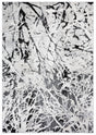 Safavieh Jasper 100 4'-0" x 6'-0" Rug in Black / Ivory