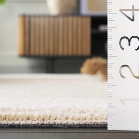 Safavieh Ebony 4'-0" x 6'-0" Rug in Beige / Ivory