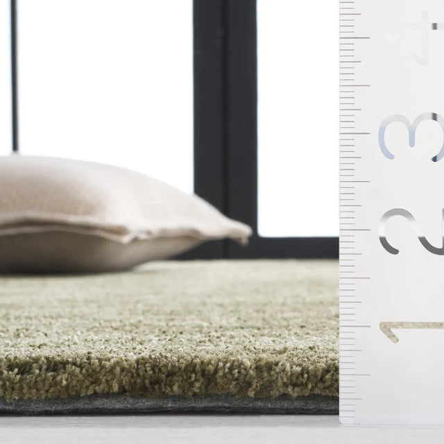 Safavieh Carmine 4'-0" x 6'-0" Rug in Green