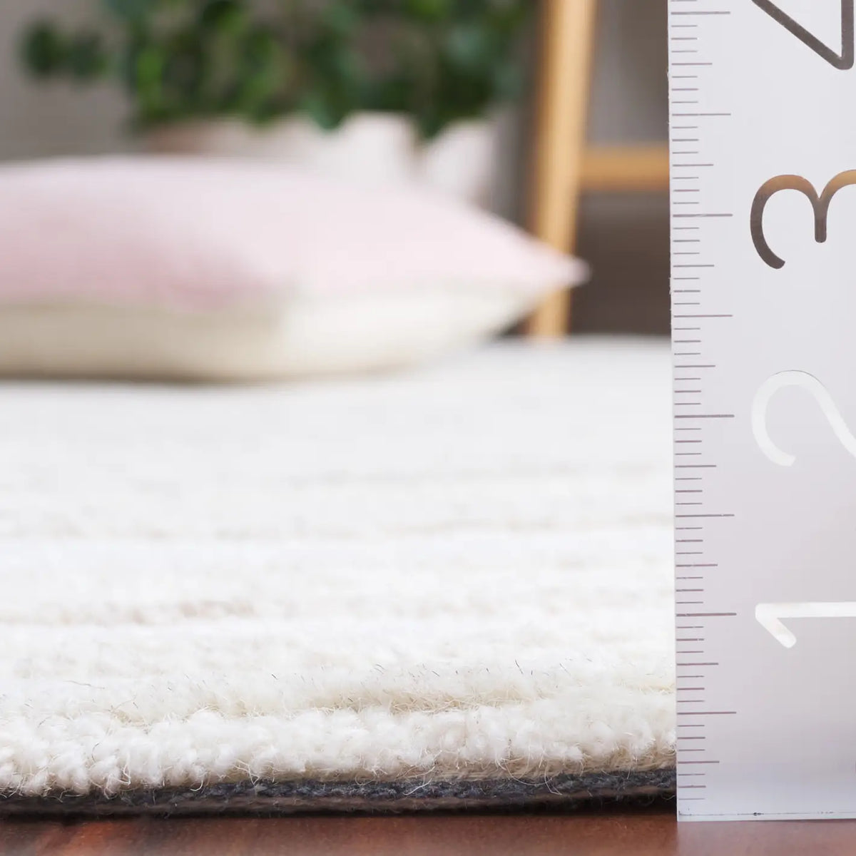 Safavieh Ebony 4'-0" x 6'-0" Rug in Ivory / Beige