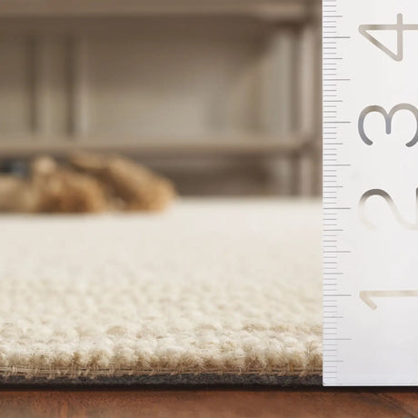 Safavieh Ebony 4'-0" x 6'-0" Rug in Ivory / Beige