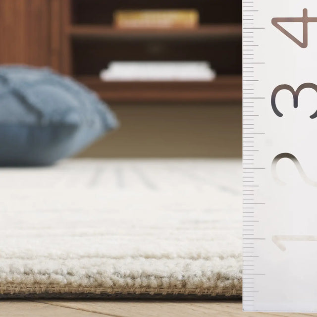 Safavieh Ebony 4'-0" x 6'-0" Rug in Ivory / Grey