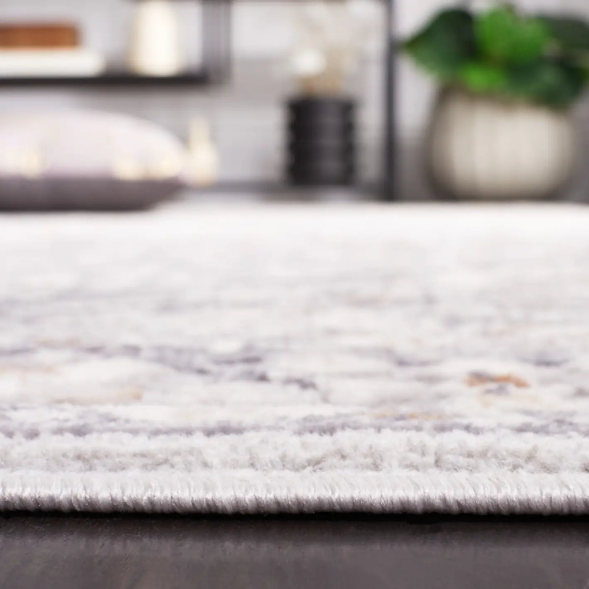 Safavieh Eternal 4'-0" x 6'-0" Rug in Grey / Beige
