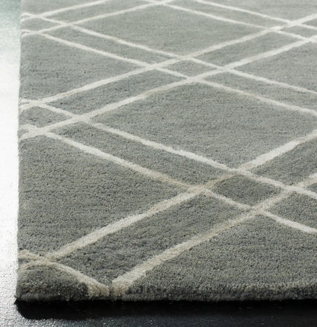 Safavieh Himalaya 4'-0" x 6'-0" Rug in Dark Grey / Ivory