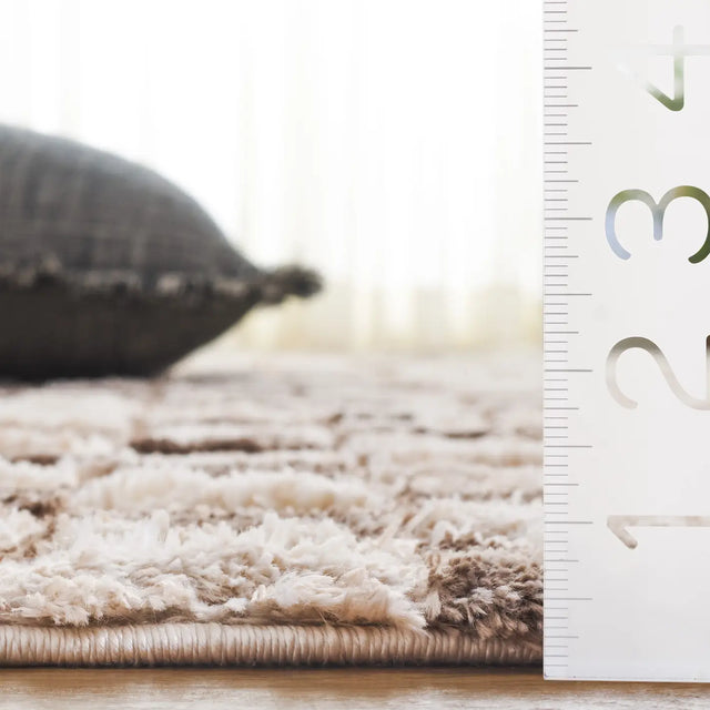 Safavieh Seattle Shag 900 4'-0" x 6'-0" Rug in Ivory / Brown