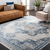 Safavieh Shivan 100 6'-7" x 8'-7" Rug in Ivory / Blue