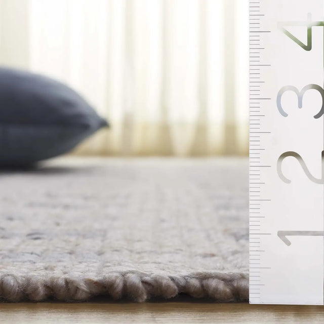 Safavieh Renewal 4'-0" x 6'-0" Rug in Ivory / Grey