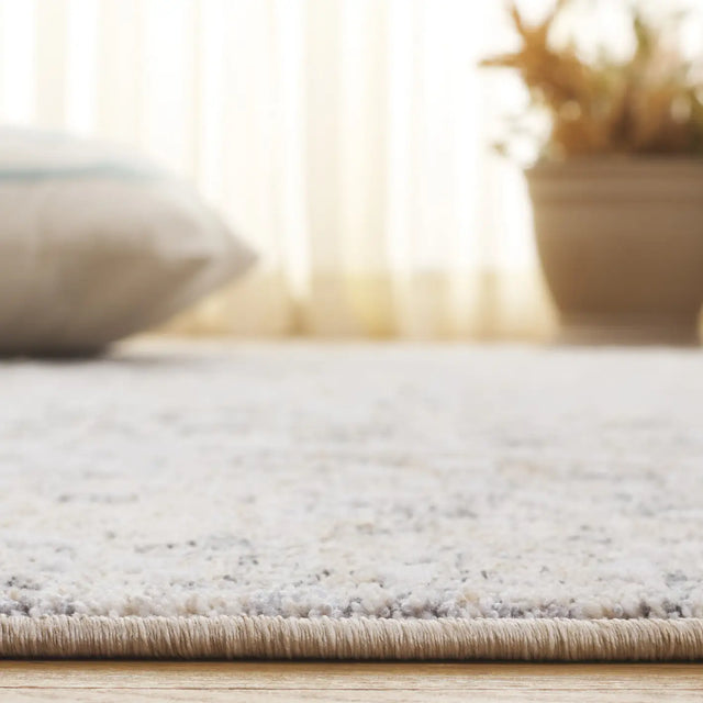 Safavieh Finley 4'-0" x 6'-0" Rug in Grey / Beige