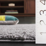 Safavieh Rumi Shag 4'-0" x 6'-0" Rug in Dark Grey