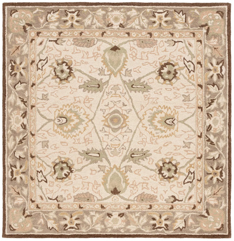Safavieh Anatolia 6'-0" x 6'-0" Rug in Ivory / Brown