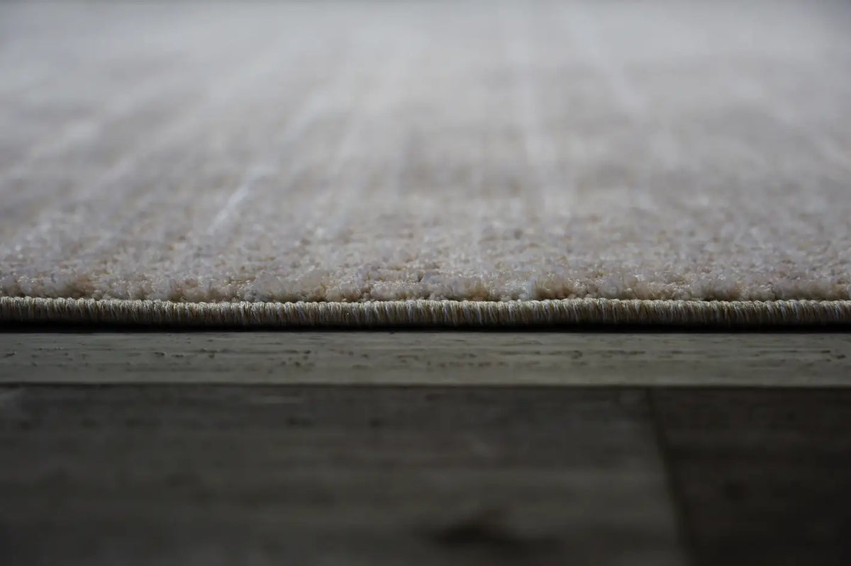 Dynamic Rugs Olivia 12732 Power Loomed Modern Ivory/Grey Rug - Pile