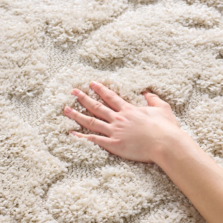 Safavieh Florida Shag 4'-0" x 6'-0" Rug in Creme / Creme