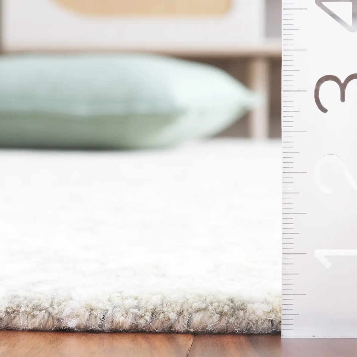 Safavieh Ebony 4'-0" x 6'-0" Rug in Grey / Ivory