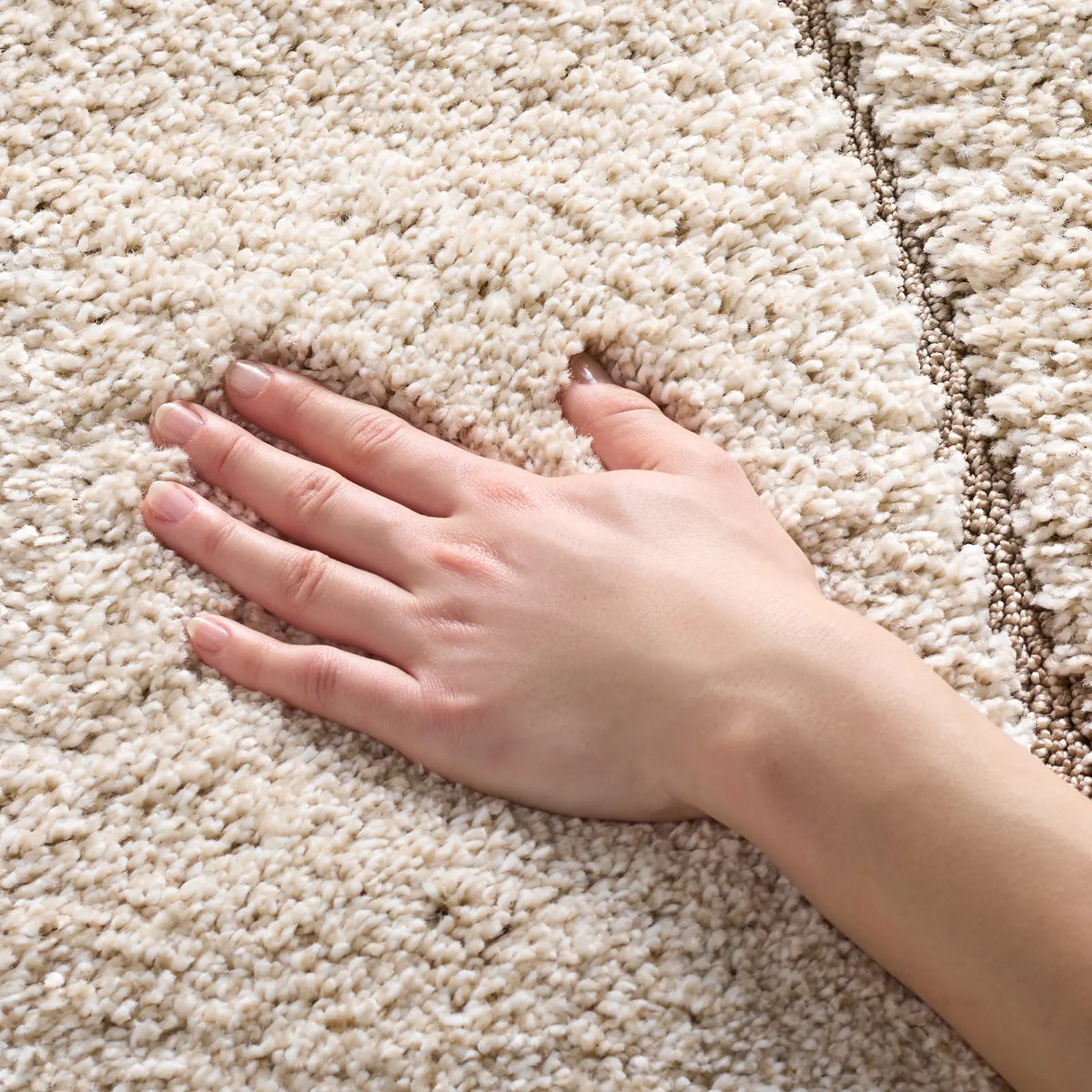 Safavieh Florida Shag 3'-3" x 5'-3" Rug in Cream / Beige