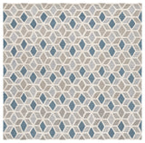 Safavieh Ebony 6'-0" x 6'-0" Rug in Ivory / Blue