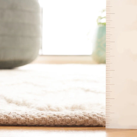 Safavieh Natura 4'-0" x 6'-0" Rug in Ivory