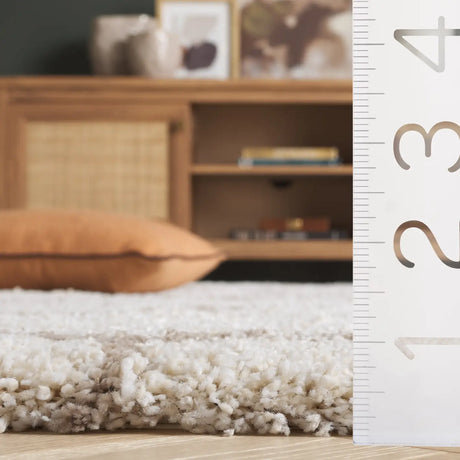 Safavieh Hudson Shag 4'-0" x 6'-0" Rug in Ivory / Beige