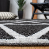 Safavieh Adirondack 4'-0" x 6'-0" Rug in Black / Ivory