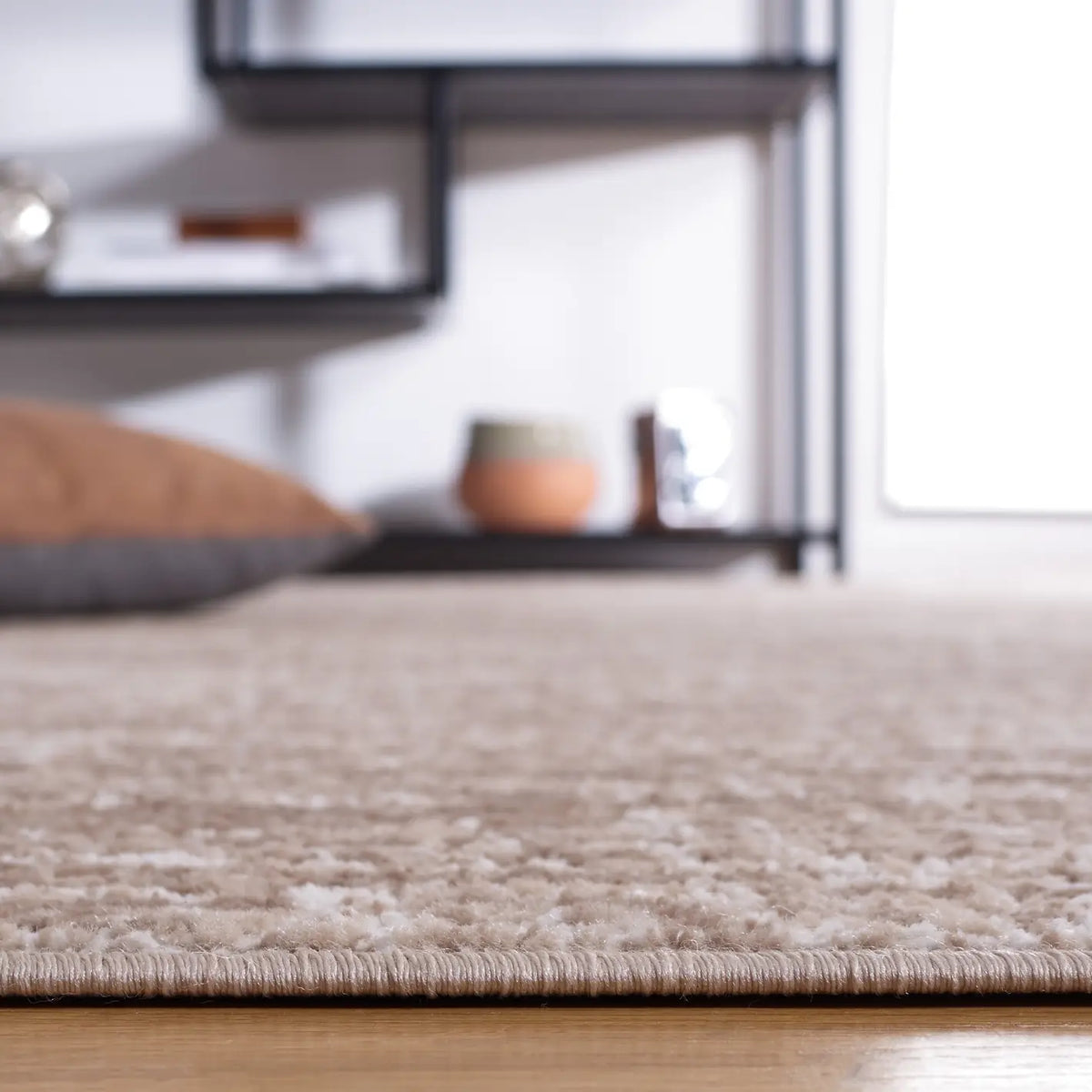 Safavieh Shivan 100 4'-0" x 6'-0" Rug in Beige / Light Beige