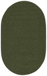 Safavieh Braided 3'-0" x 5'-0" Rug in Green