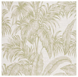 Safavieh Courtyard 6'-7" x 6'-7" Rug in Ivory / Green
