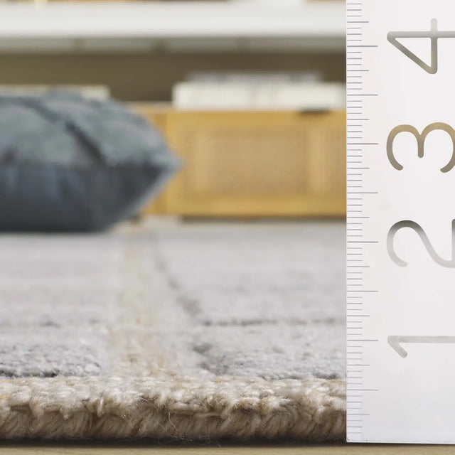 Safavieh Renewal 4'-0" x 6'-0" Rug in Beige / Grey