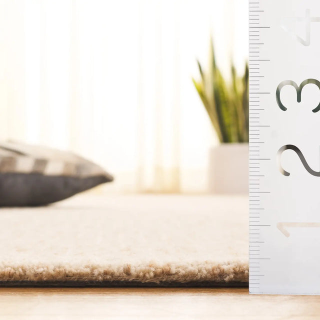 Safavieh Pine 4'-0" x 6'-0" Rug in Beige