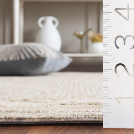 Safavieh Ebony 4'-0" x 6'-0" Rug in Light Green / Beige
