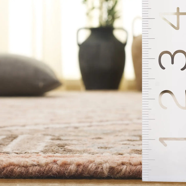 Safavieh Aspen 4'-0" x 6'-0" Rug in Beige / Grey
