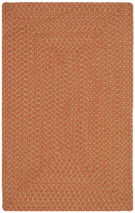 Safavieh Braided 2'-6" x 4'-0" Rug in Multi
