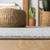 Safavieh Tulum 4'-0" x 6'-0" Rug in Light Grey / Ivory