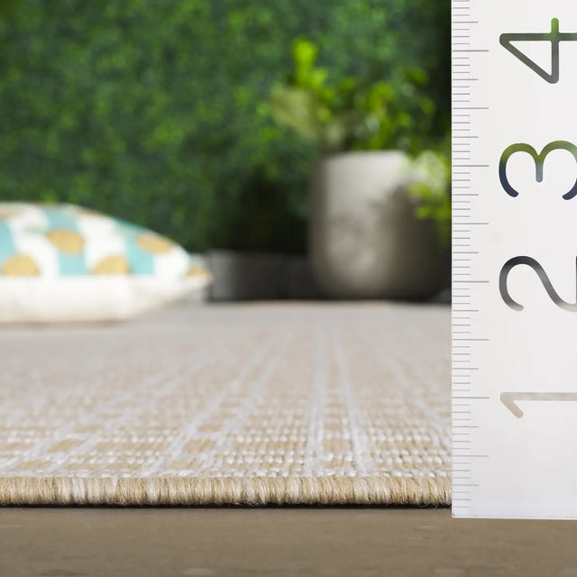 Safavieh Terrace 800 4'-0" x 6'-0" Rug in Beige / Ivory