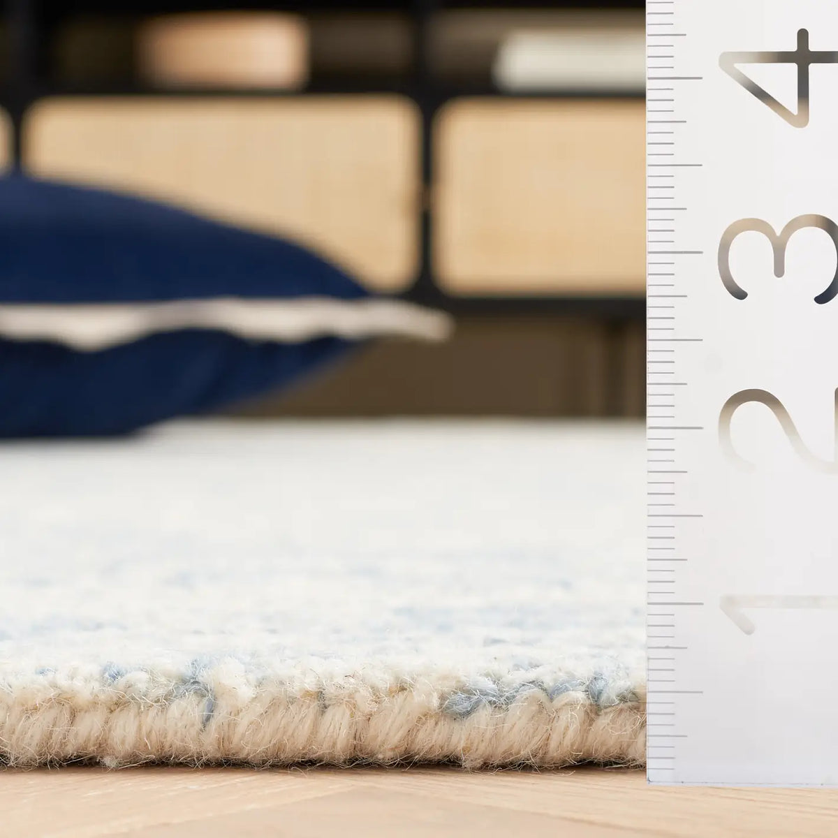 Safavieh Ebony 4'-0" x 6'-0" Rug in Ivory / Blue