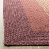 Safavieh Braided 5'-0" x 8'-0" Rug in Multi