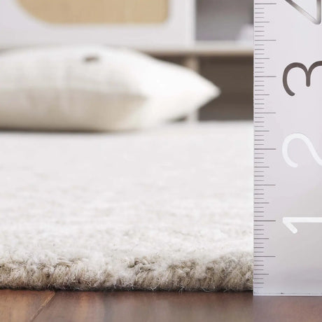Safavieh Ebony 4'-0" x 6'-0" Rug in Light Grey / Ivory
