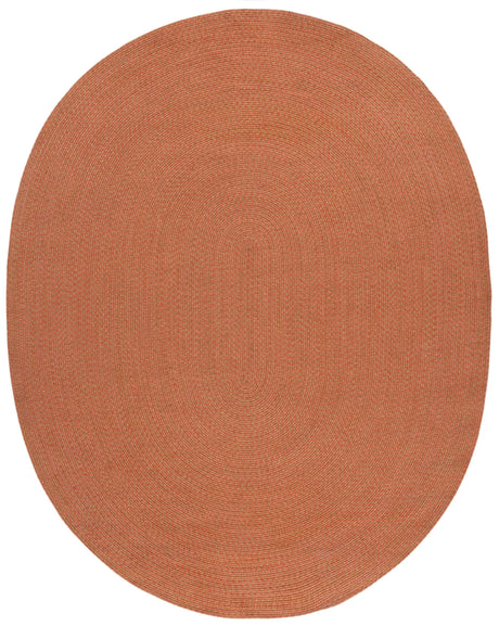 Safavieh Braided 8'-0" x 10'-0" Rug in Multi