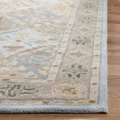 Safavieh Heritage 4'-0" x 6'-0" Rug in Light Blue / Light Brown