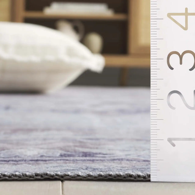Safavieh Arizona 4'-0" x 6'-0" Rug in Ivory / Grey