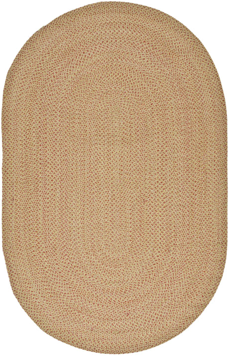 Safavieh Braided 5'-0" x 8'-0" Rug in Multi